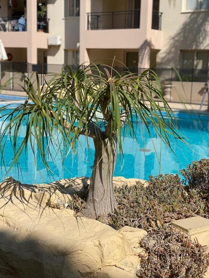 Royal Seacrest F G5 Ground Floor Apartment Pafos Dış mekan fotoğraf
