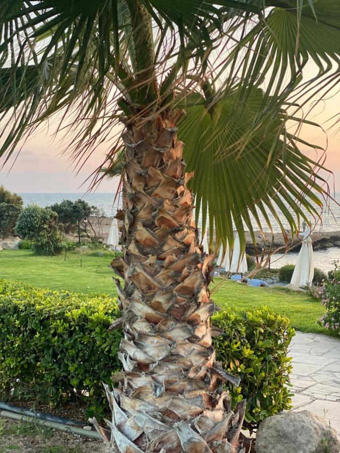 Royal Seacrest F G5 Ground Floor Apartment Pafos Dış mekan fotoğraf